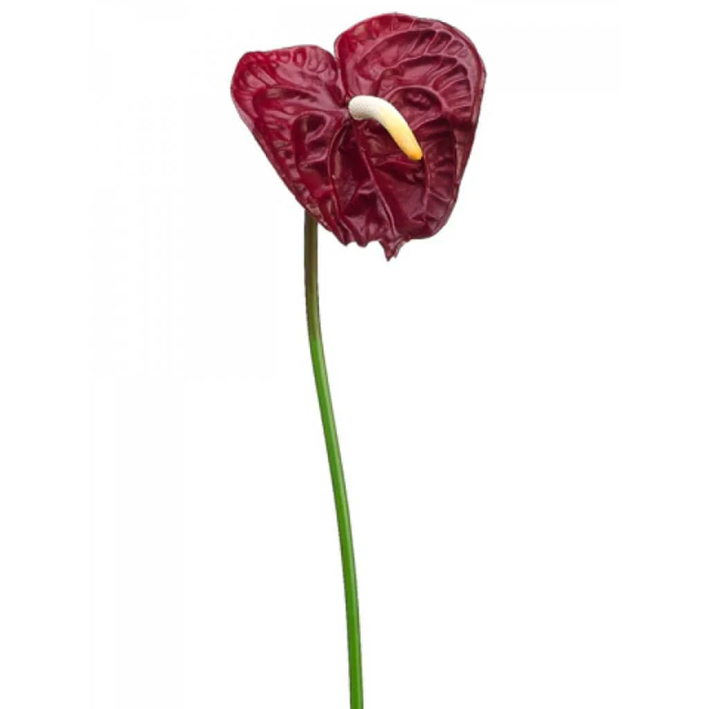 Sm Anthurium Spray 26" Red