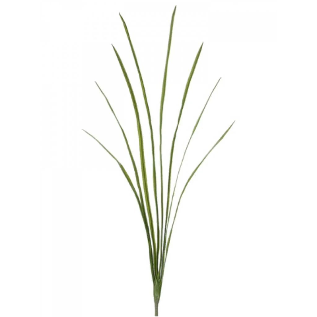 Cymbidium Leaf Spray 46" Green