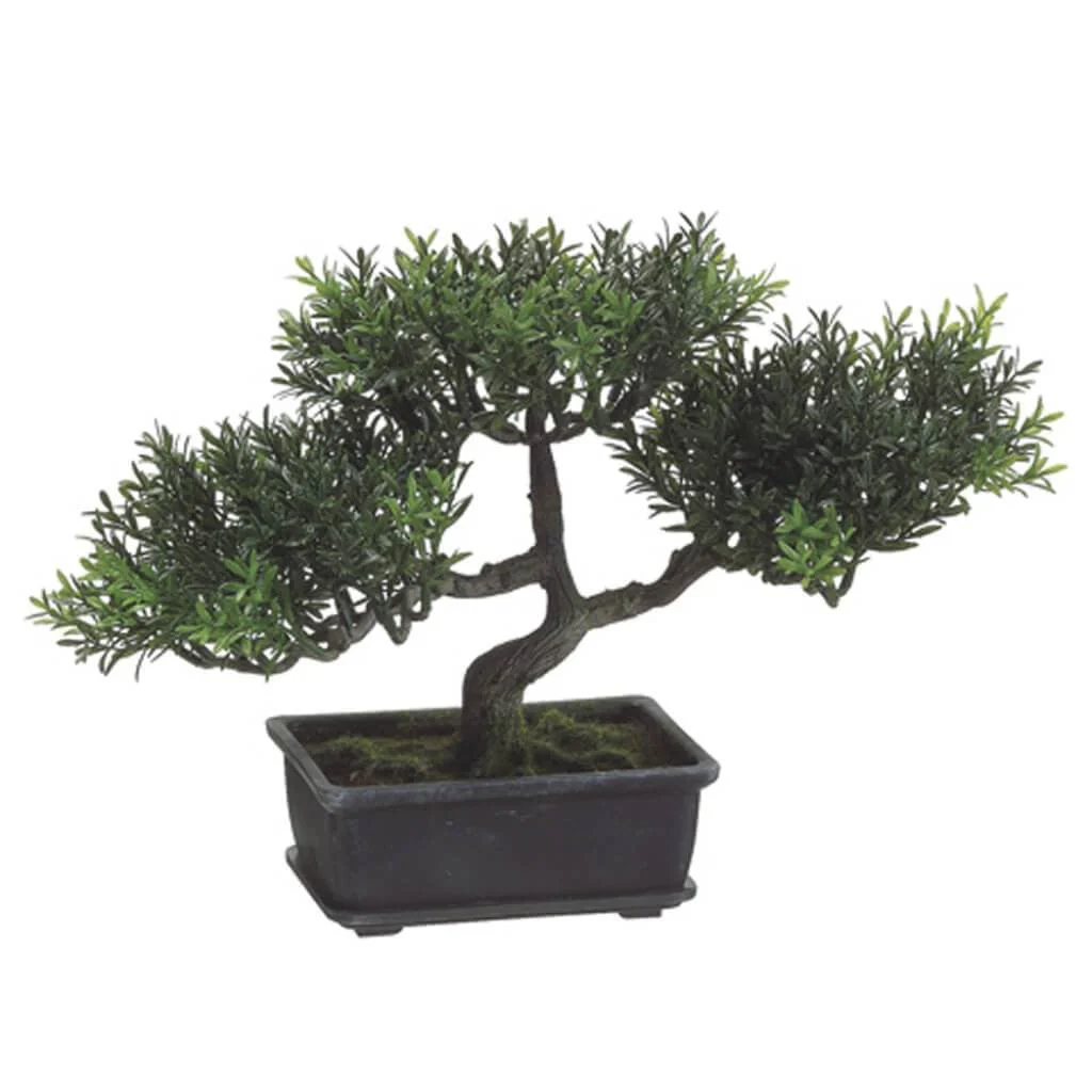9"Tea Lf Bonsai 98L (P)Gr