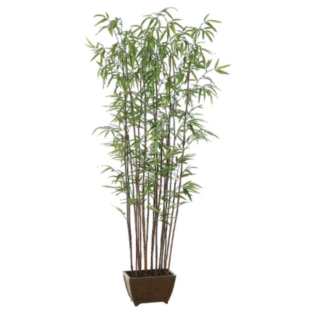 72"Bamboo Wal.Trx19 1276L(P)Gr
