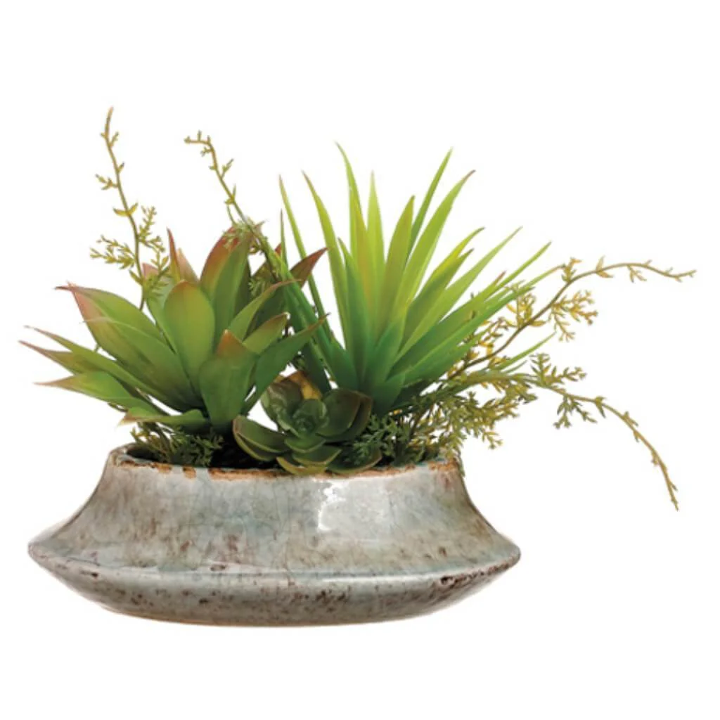 7"Succulent Garden(P)Gr/Bu