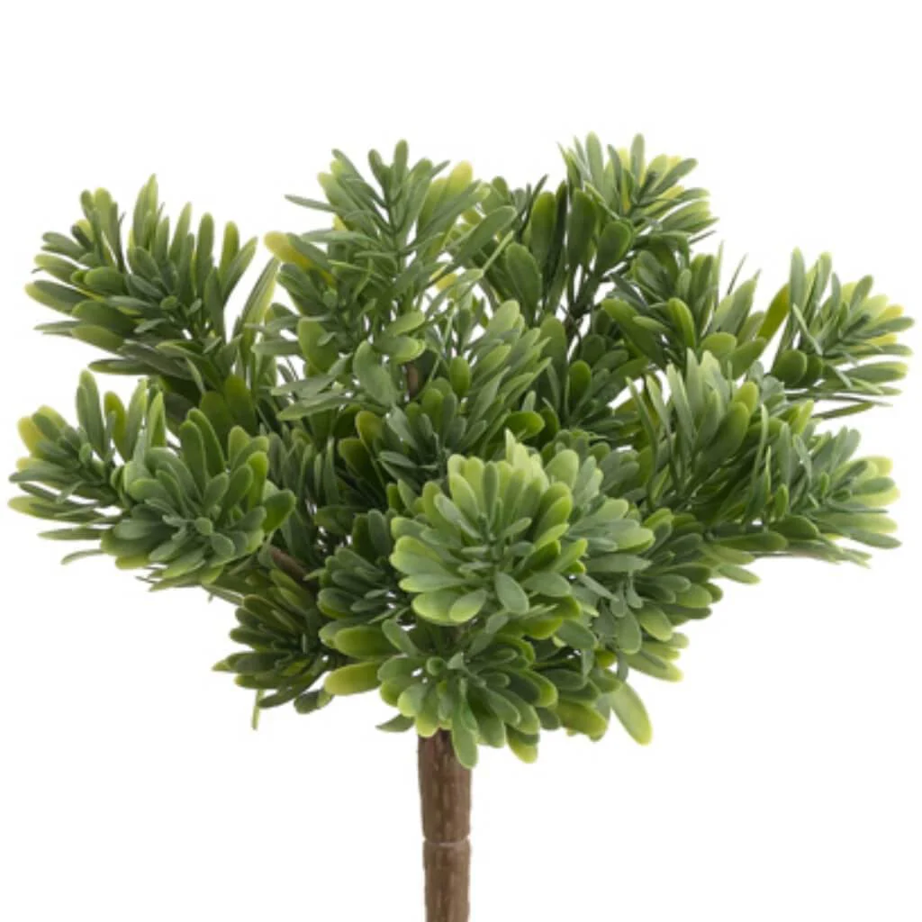 9"Plas.Succulent Grass Bu.X7Gr