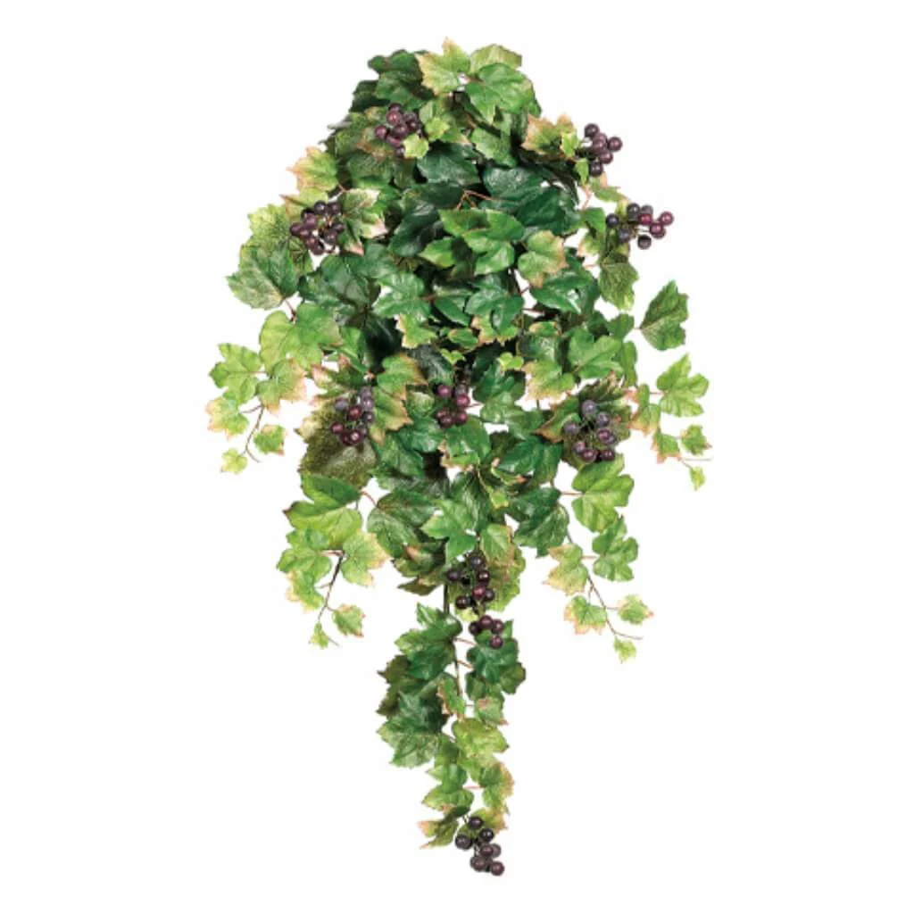 30"Grape Leaf Hg/Bu. X9 W/G Gr