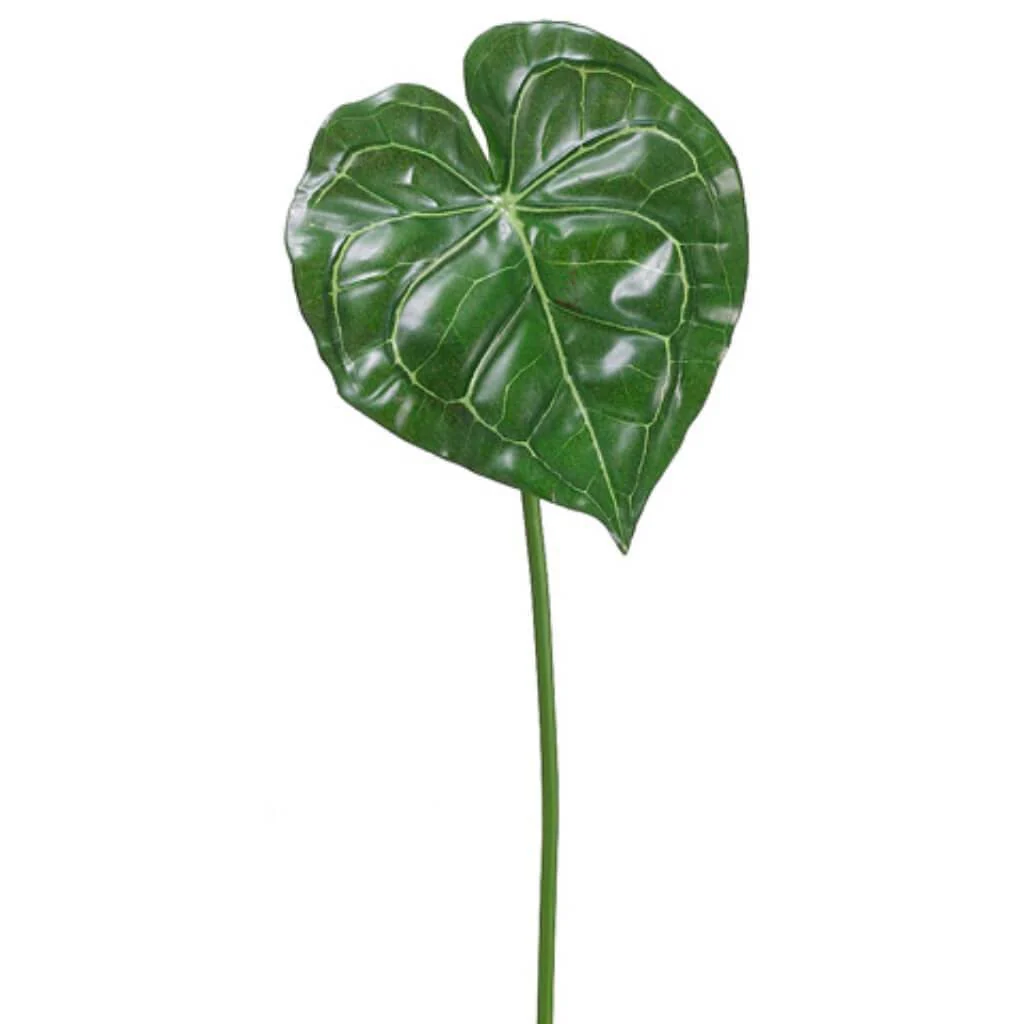 26.5"Exotic Anthurium Lf Sp.