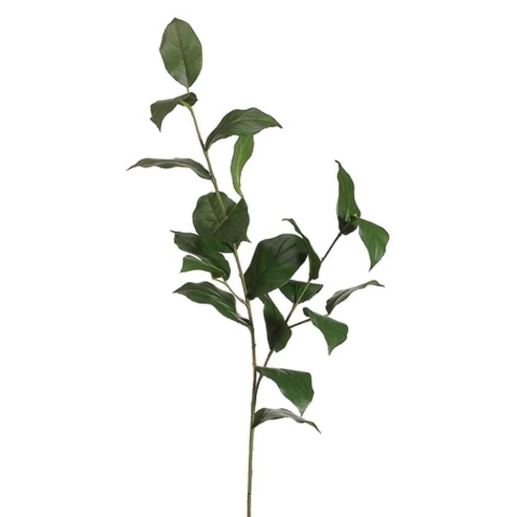 Lemon Leaf Spray 36" Green