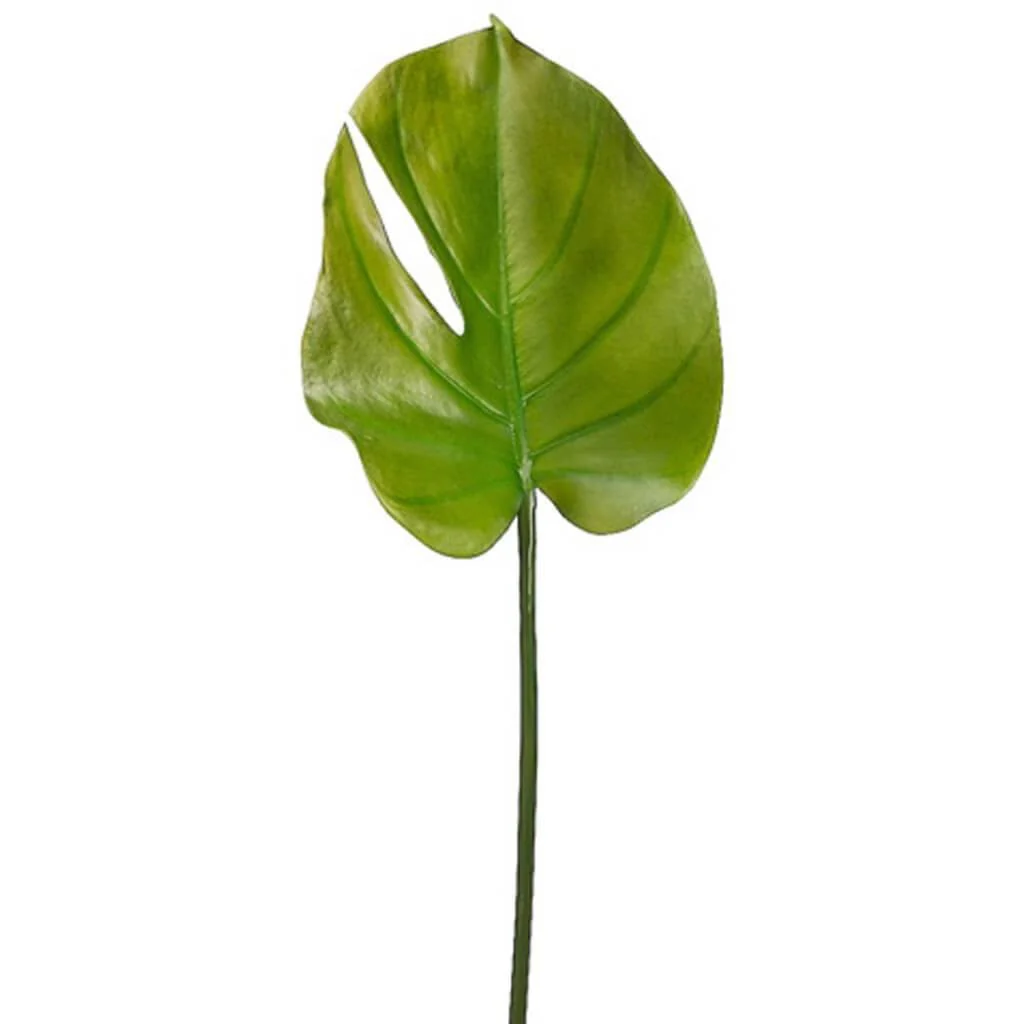 Small Split Philodendron Leaf Spray 23.5" Green