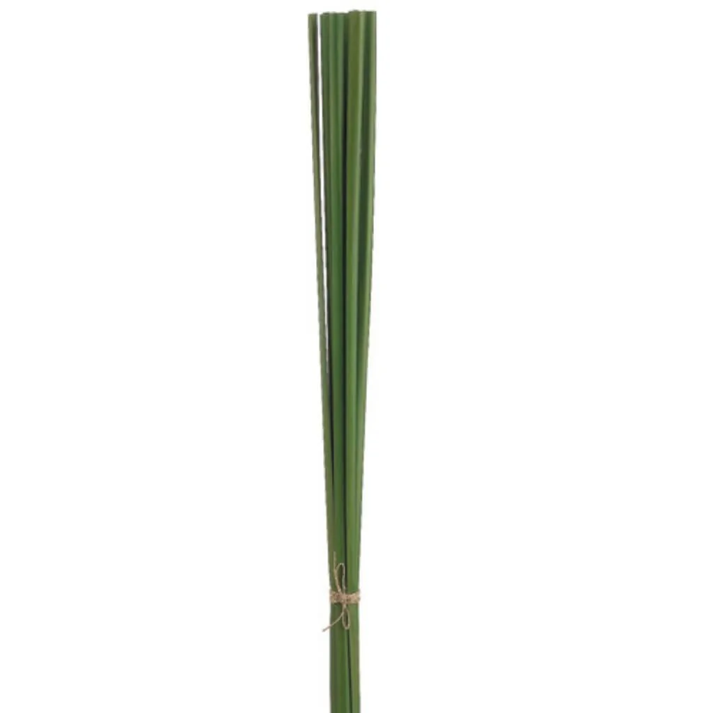 36"Pond Reed Bundle Gr