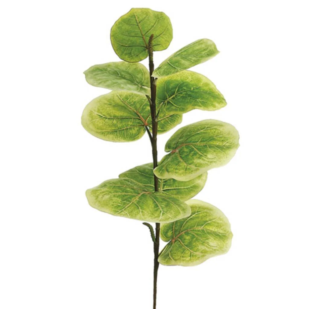 Seagrape Spray 9L 25" Light Green
