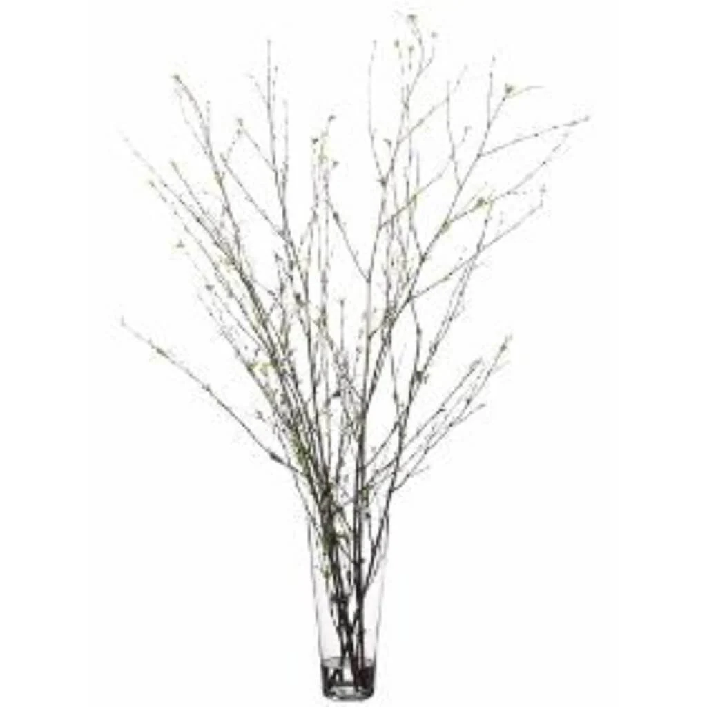 52H30W30"L Branch In Vase Grbr