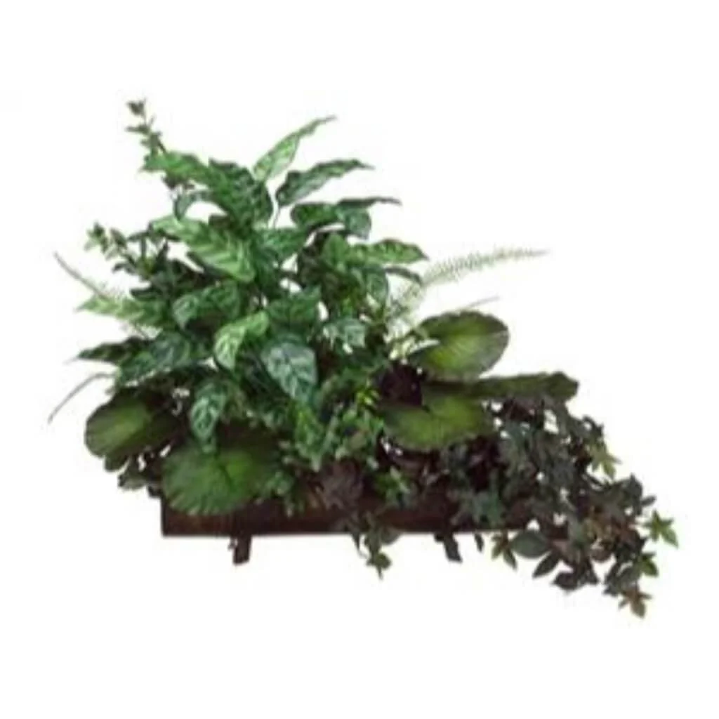 31H22W37"L P.Plant/P.Vine(Tray