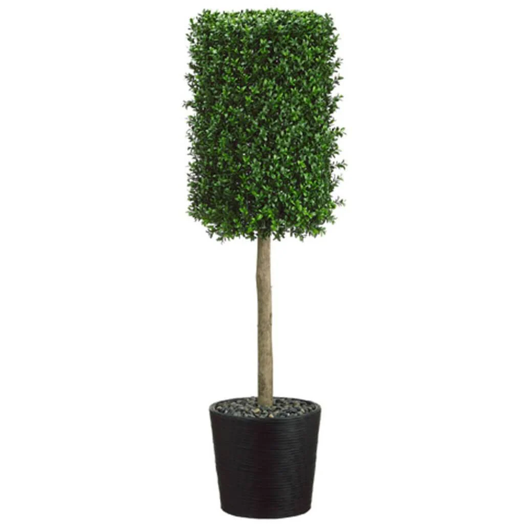 53H12W12"L Boxwood Topiary(Pot