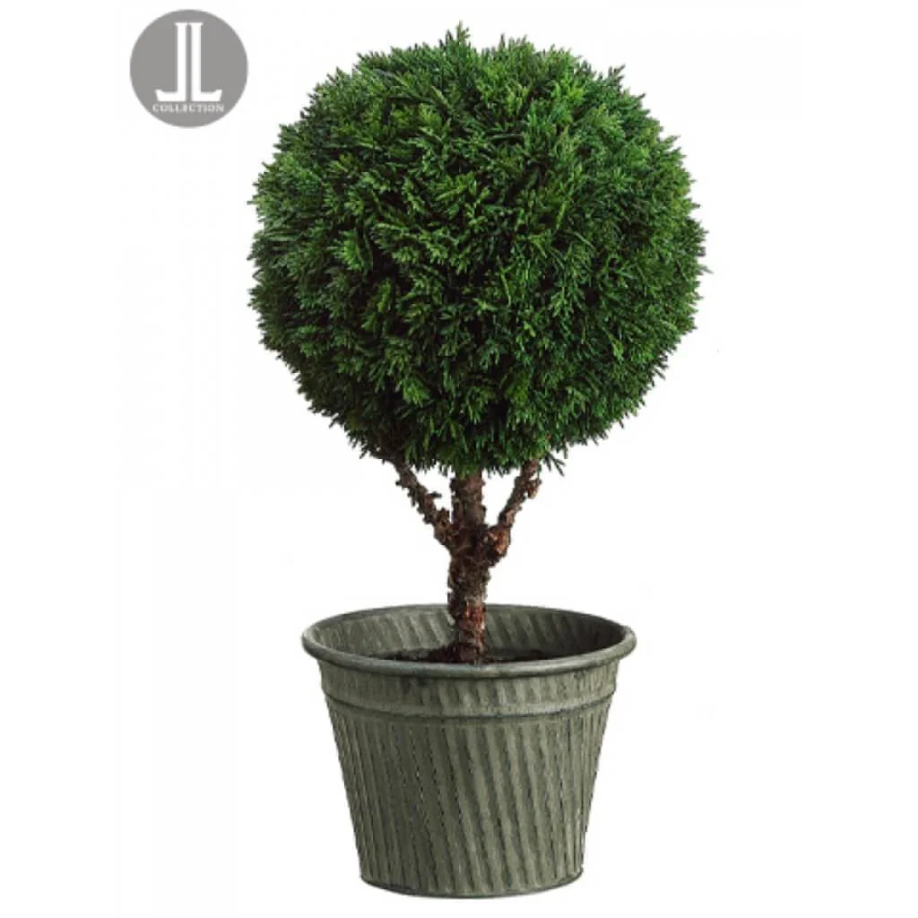 19.5"Cedar Ball Topiary(P)Rshp