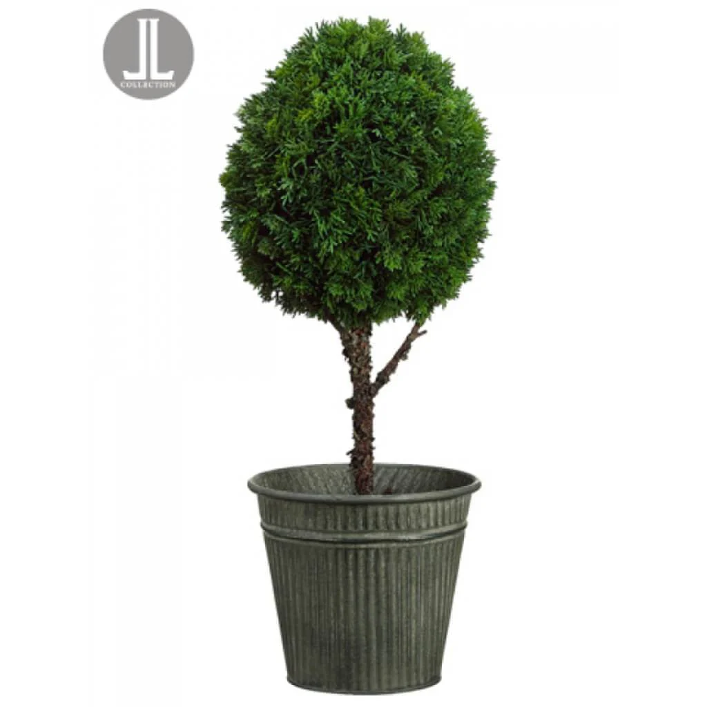 26"Cedar Ball Topiary(P)Reship
