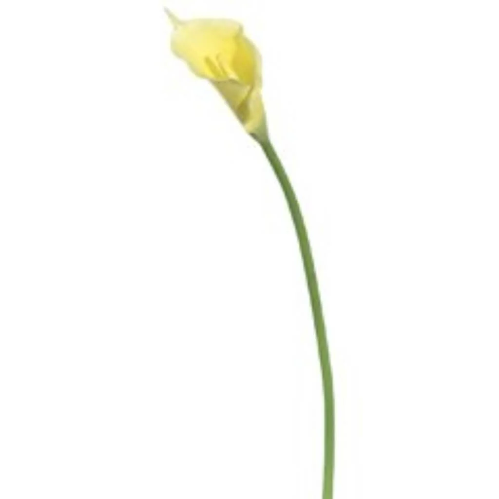 Calla Lily Spray 31" Yellow